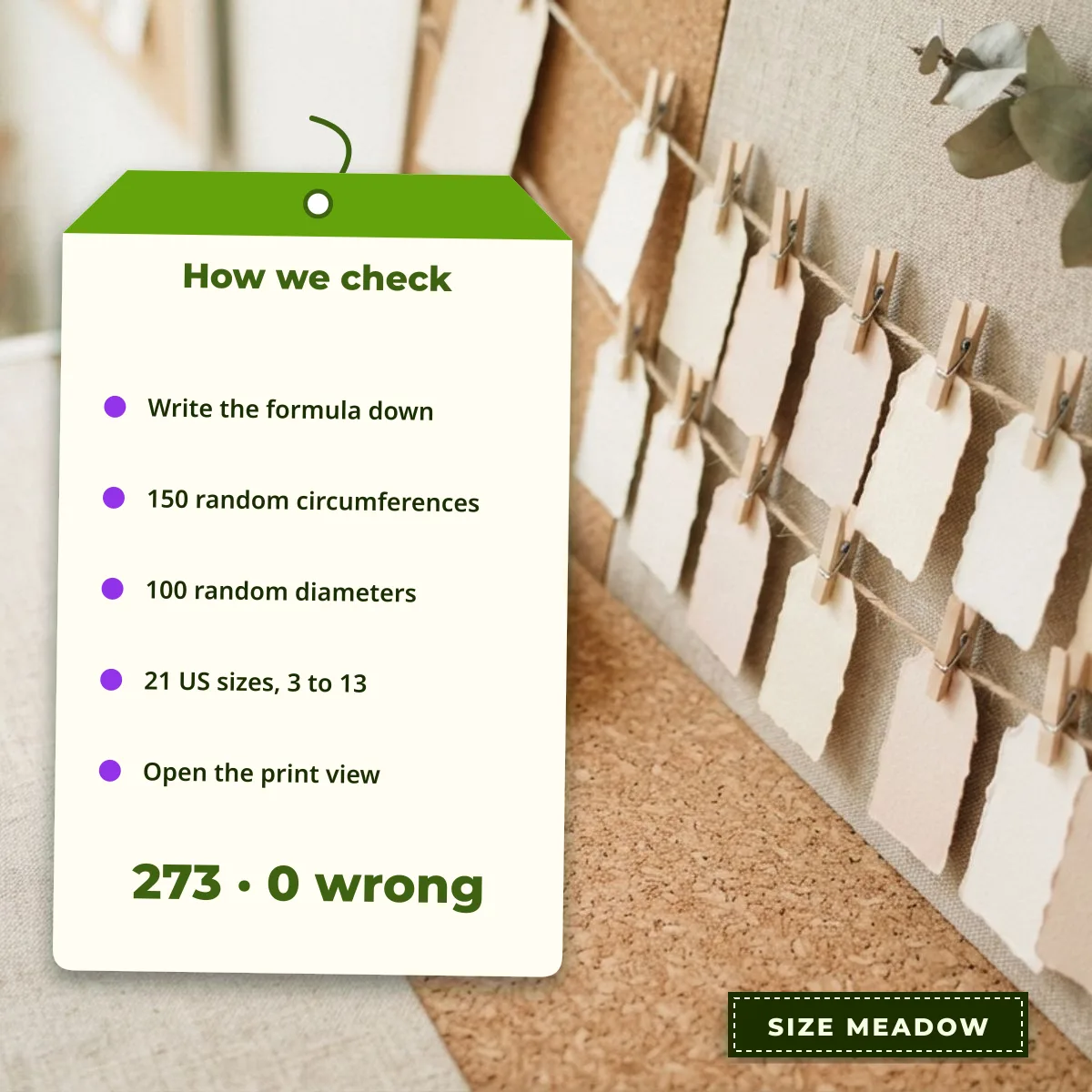 How Size Meadow checks the converter: 150 random circumferences, 100 random diameters and 21 US sizes, 273 comparisons, 0 wrong