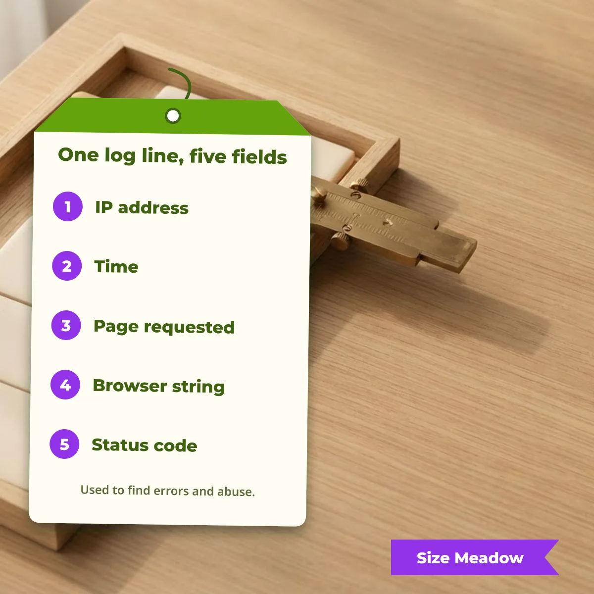 The five fields of a server log line: IP address, time, page requested, browser string and status code